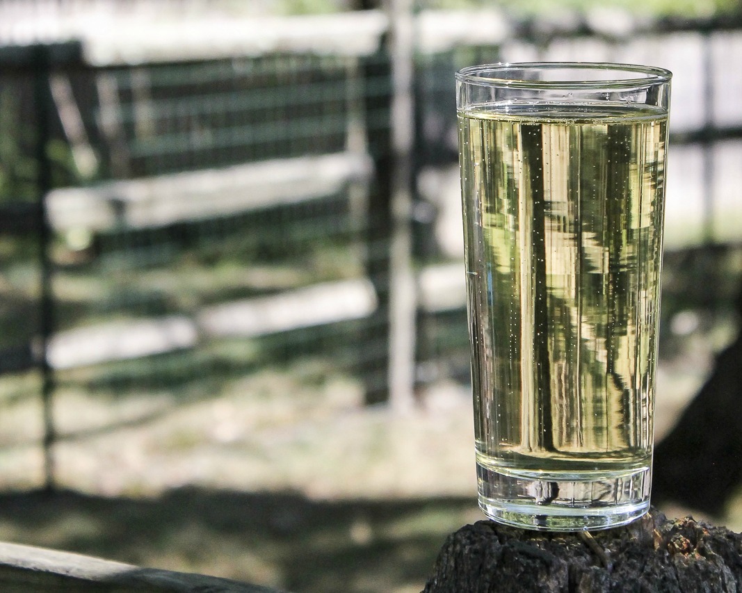 New Issue of "Foodies of New England" Showcases New England Hard Ciders